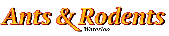 Waterloo Ant Exterminator & Rodent Control Company Logo